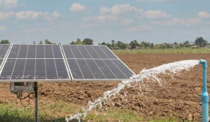 solarone BORHOL IMG